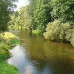  Rzeka Wkra w gm. Glinojeck
