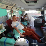 Honorowe oddawanie krwi zorganizowane przez KPP w Ciechanowie